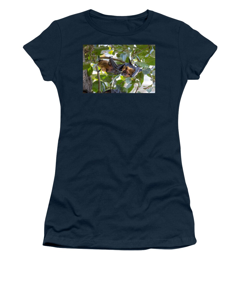 Indian Flying Fox Women's T-Shirt featuring the photograph Indian Flying Fox Bats by B. G. Thomson
