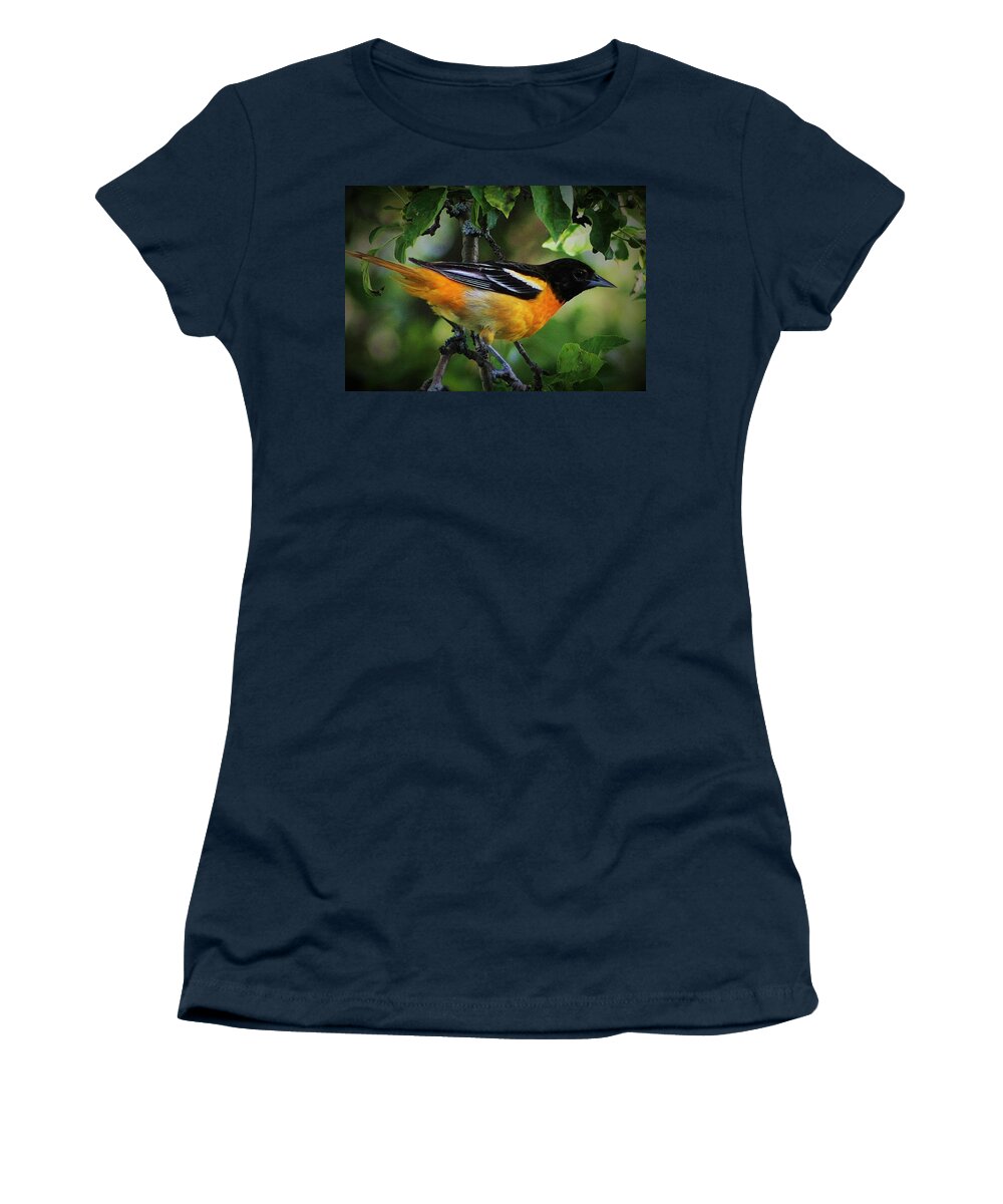 Oriole Women's T-Shirt featuring the photograph Inquisitive Oriole by Bruce Bley