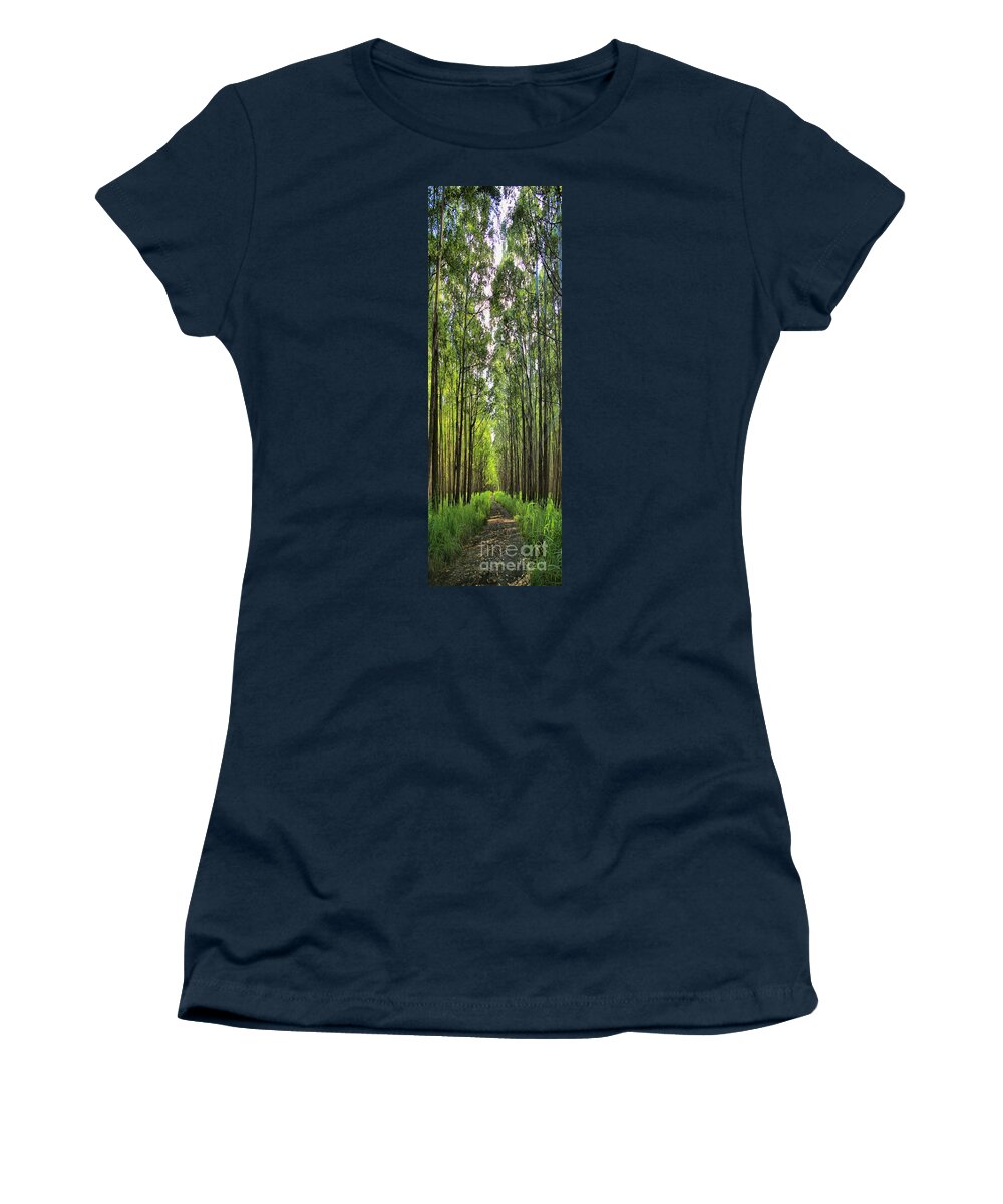Forest Women's T-Shirt featuring the photograph Into The Forest I Go by DJ Florek