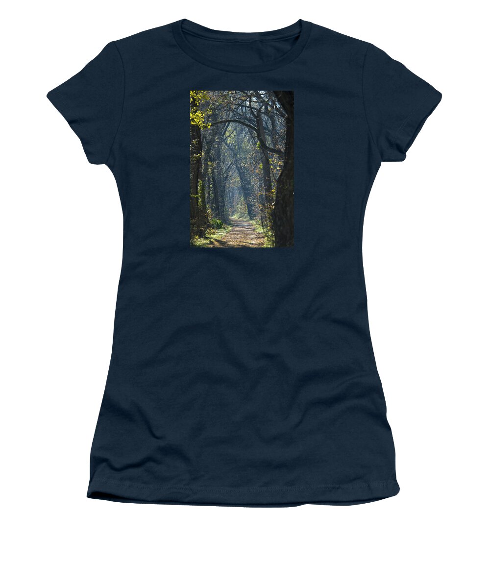 American Women's T-Shirt featuring the photograph Into The Wood by Brian Green
