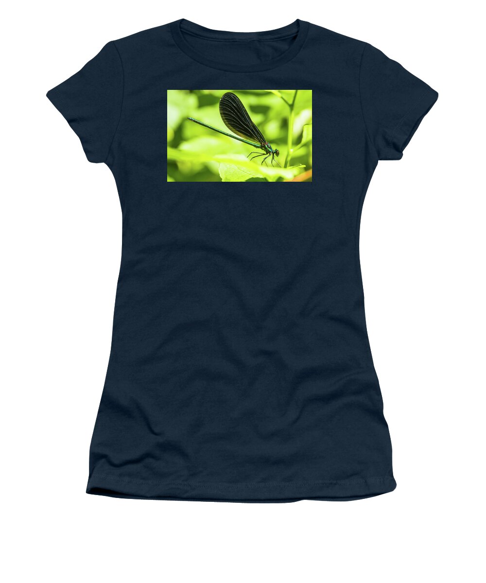 04jun17 Women's T-Shirt featuring the photograph Iridescent Green and Blue Dragonfly Profile by Jeff at JSJ Photography