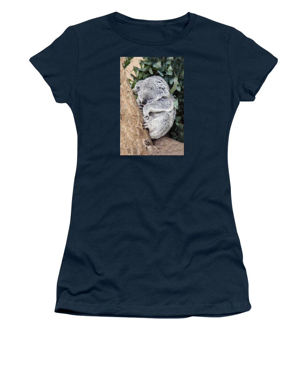 Koala Women's T-Shirt featuring the photograph Joey's Nap by William Bitman