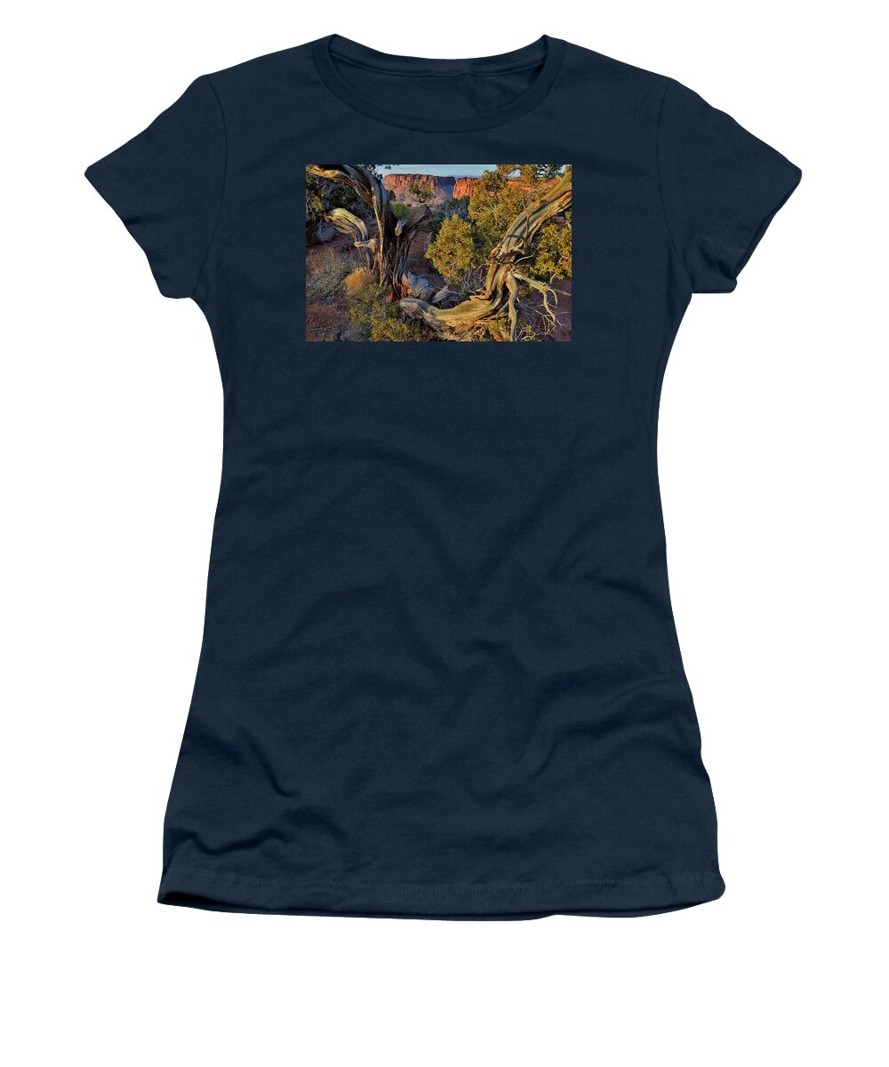 Canyonlands National Park Women's T-Shirt featuring the photograph Junction Butte through Juniper Tree at Grand View Point - Canyonlands NP by Ray Mathis