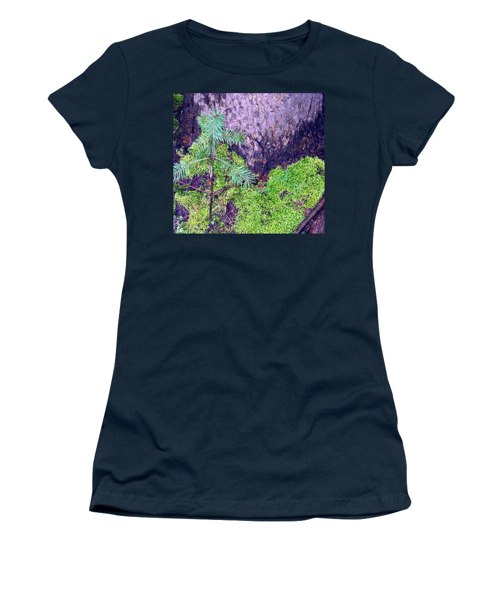 Trees Women's T-Shirt featuring the photograph Just Starting Out by Will Borden