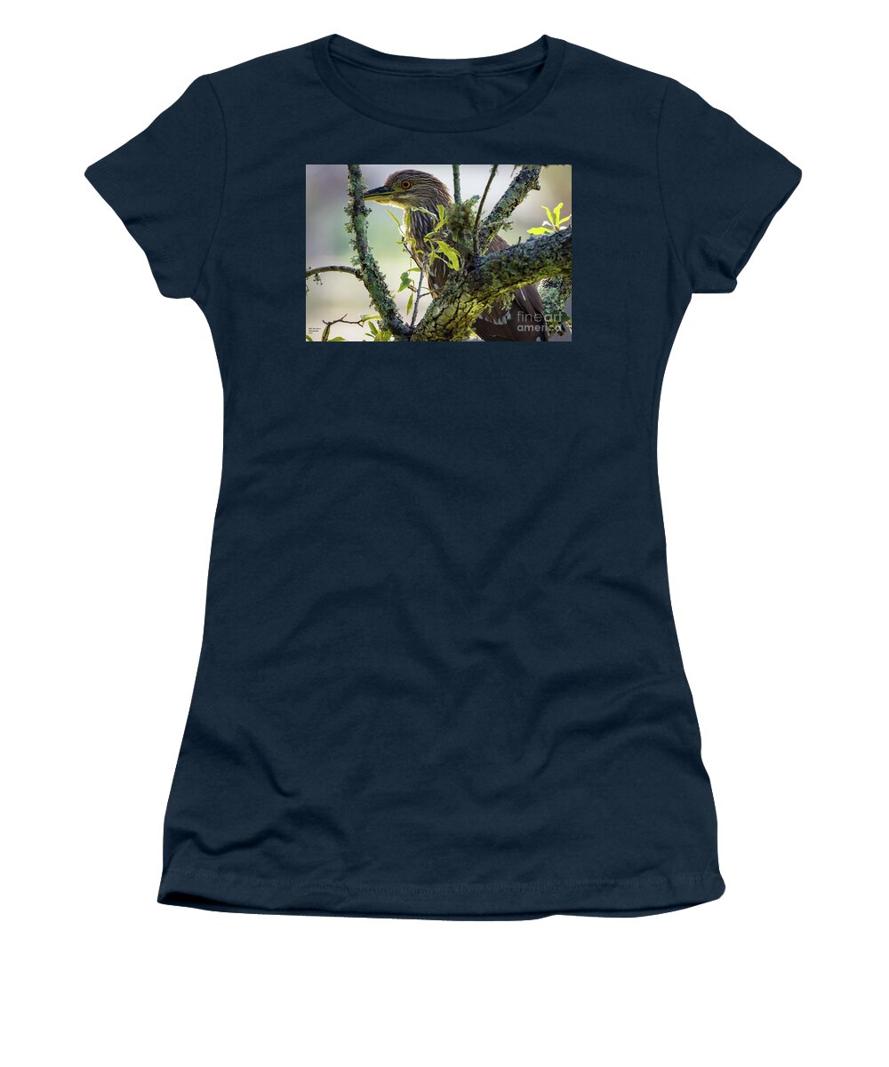 Nature Women's T-Shirt featuring the photograph Juvenile Black Crown Night Heron on Alert by DB Hayes
