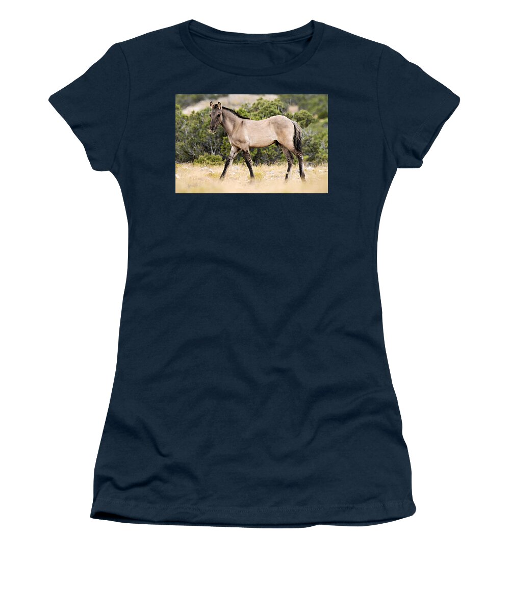Pryor Mountain Wild Horse Range Women's T-Shirt featuring the photograph Kiger Colt by Larry Ricker