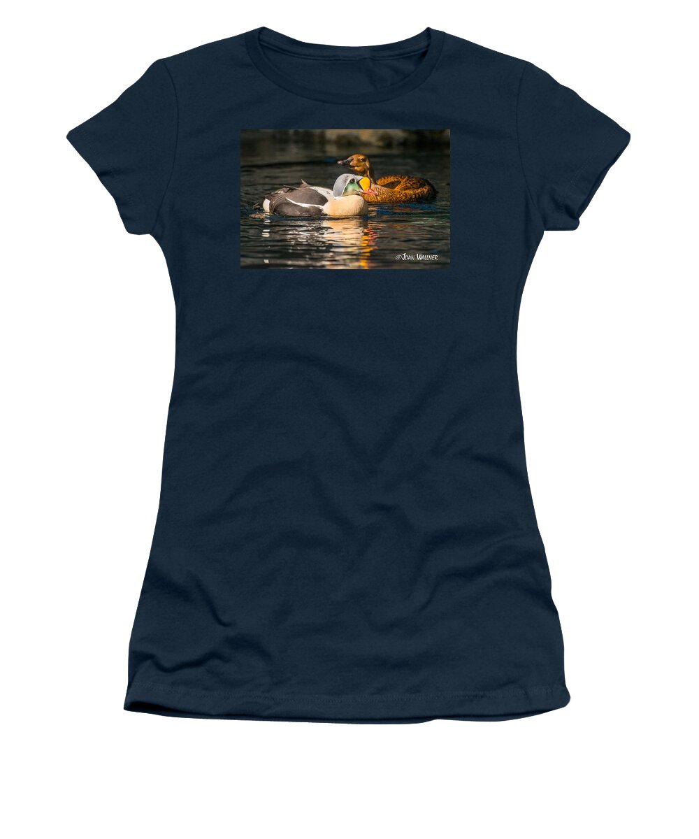 Alaska Women's T-Shirt featuring the photograph King Eider with his gal by Joan Wallner