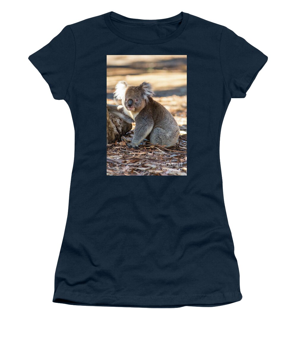 Koala Women's T-Shirt featuring the photograph Koala by Andrew Michael
