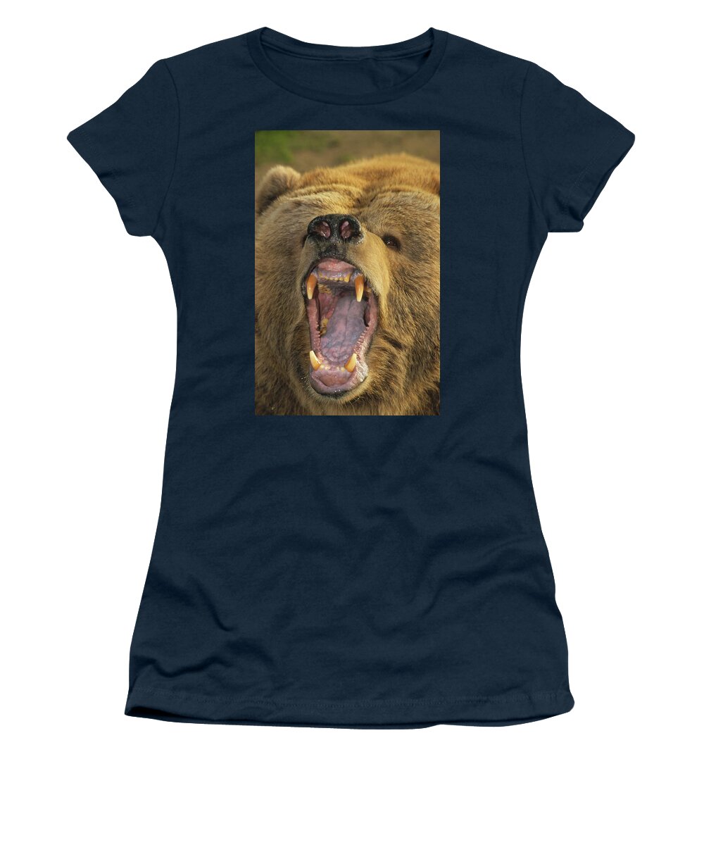 Mp Women's T-Shirt featuring the photograph Kodiak Bear Ursus Arctos Middendorffi by Matthias Breiter
