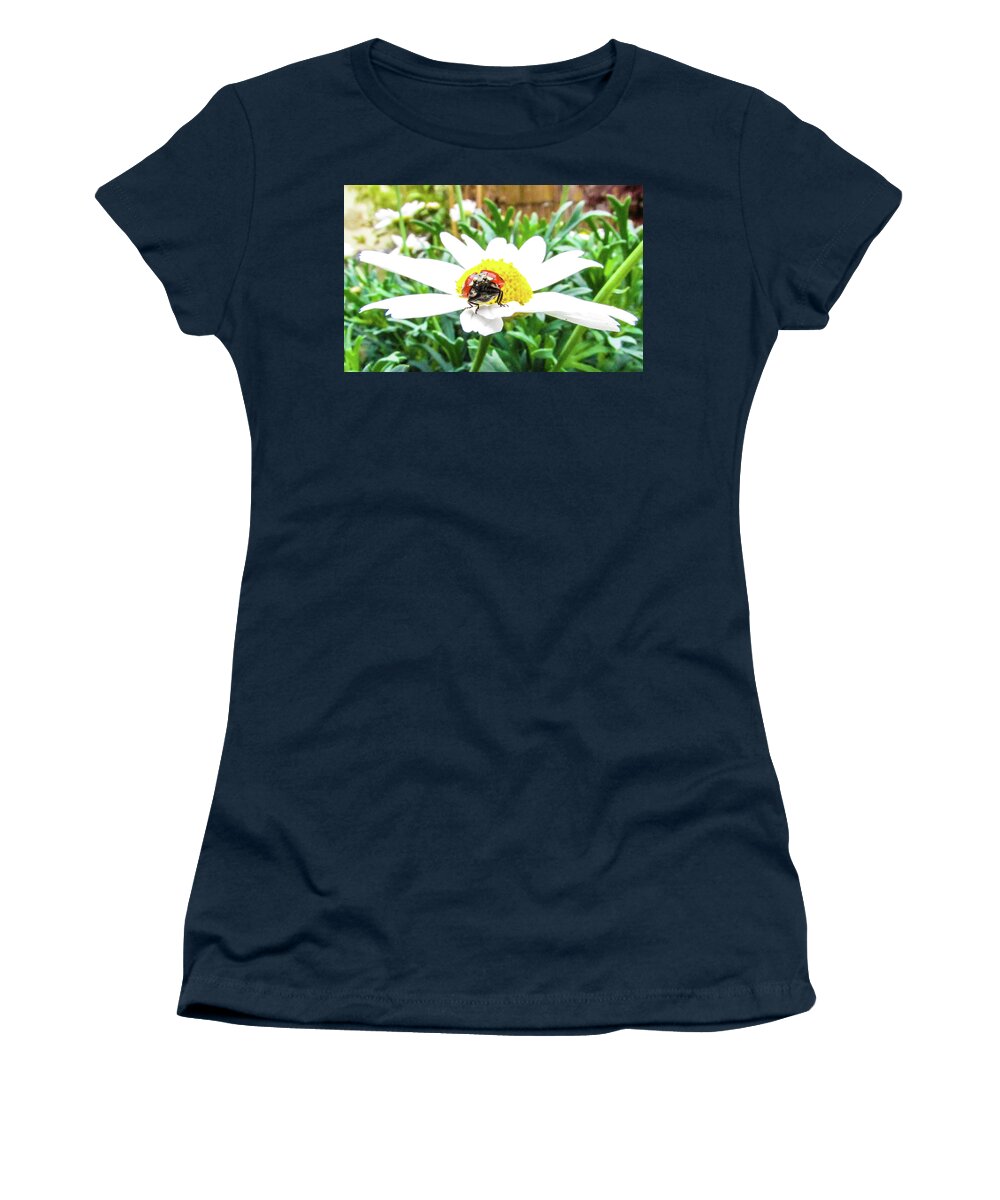 Daisy Flower Women's T-Shirt featuring the photograph Ladybug and Daisy Flower by Cesar Vieira