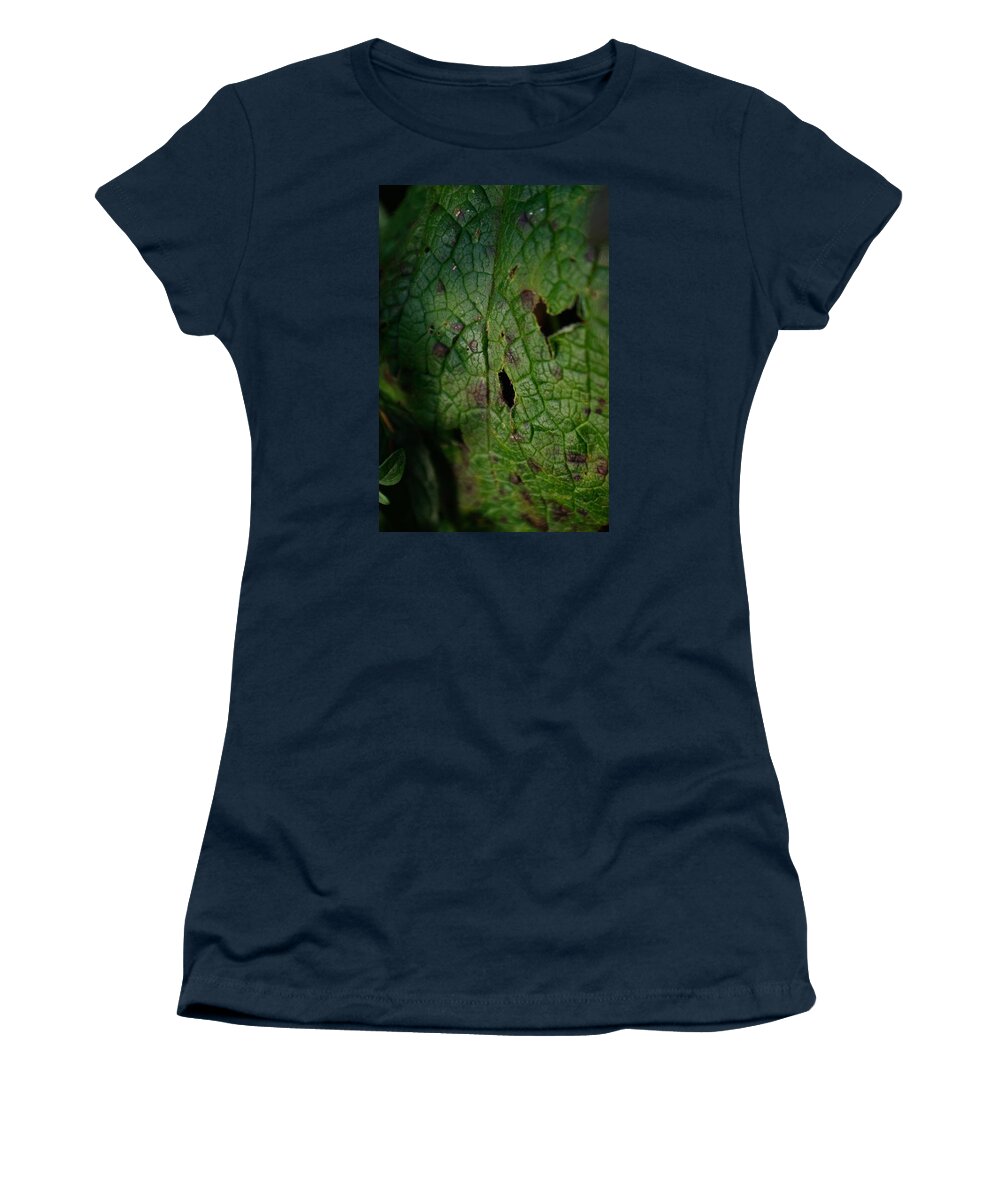 Adria Trail Women's T-Shirt featuring the photograph Languid Leaf by Adria Trail
