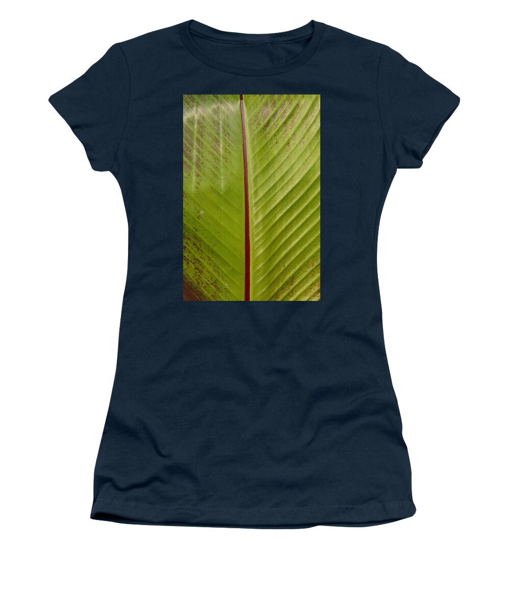 Leaf Women's T-Shirt featuring the photograph Leaf by Lyle Hatch