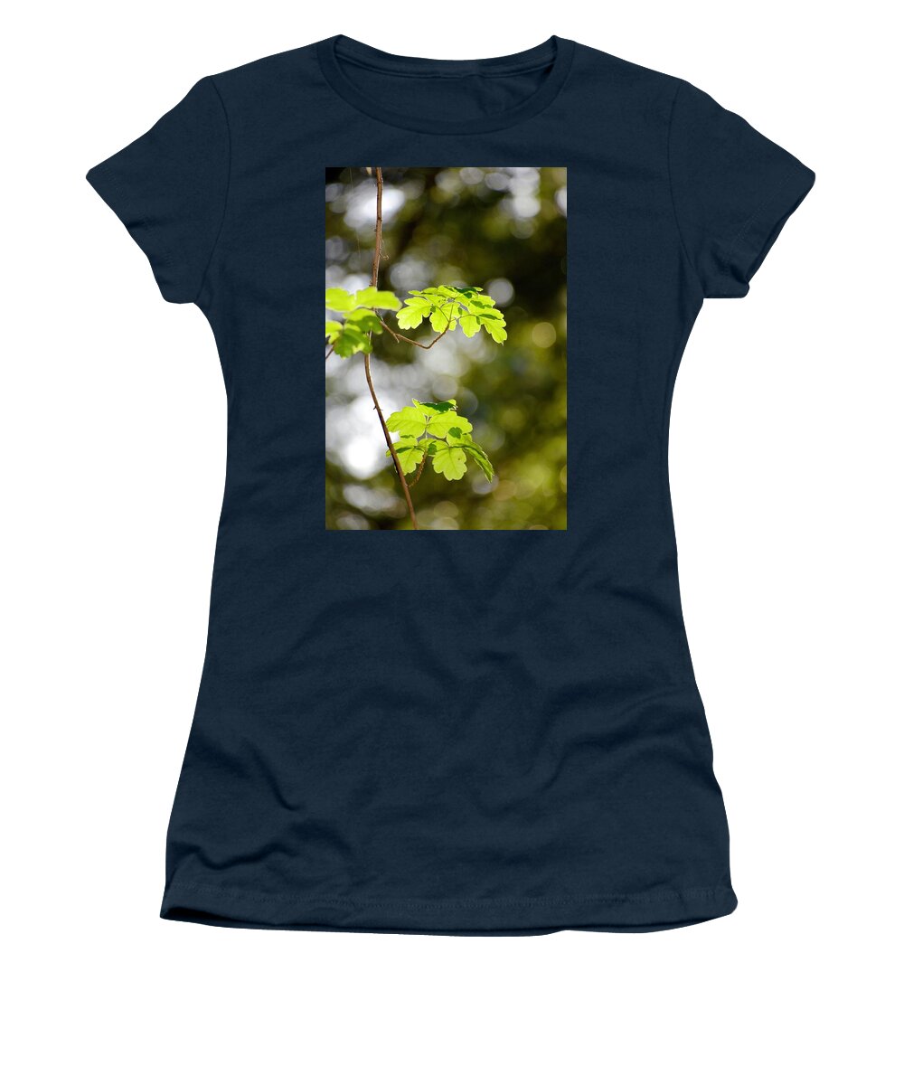 Leaves Women's T-Shirt featuring the photograph Lighted Leaves by Barbara Stellwagen