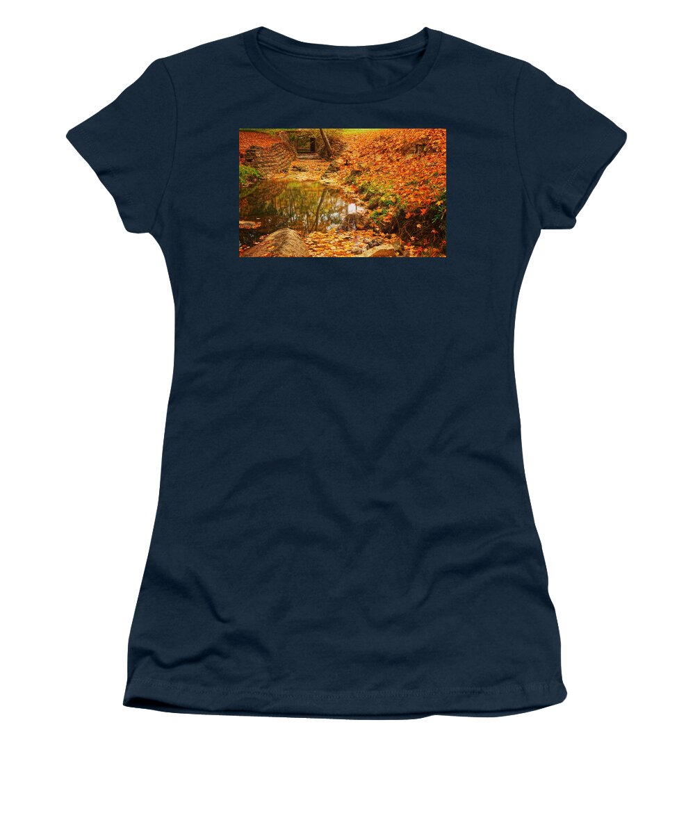  Women's T-Shirt featuring the photograph Lineberger Park 6 by Rodney Lee Williams