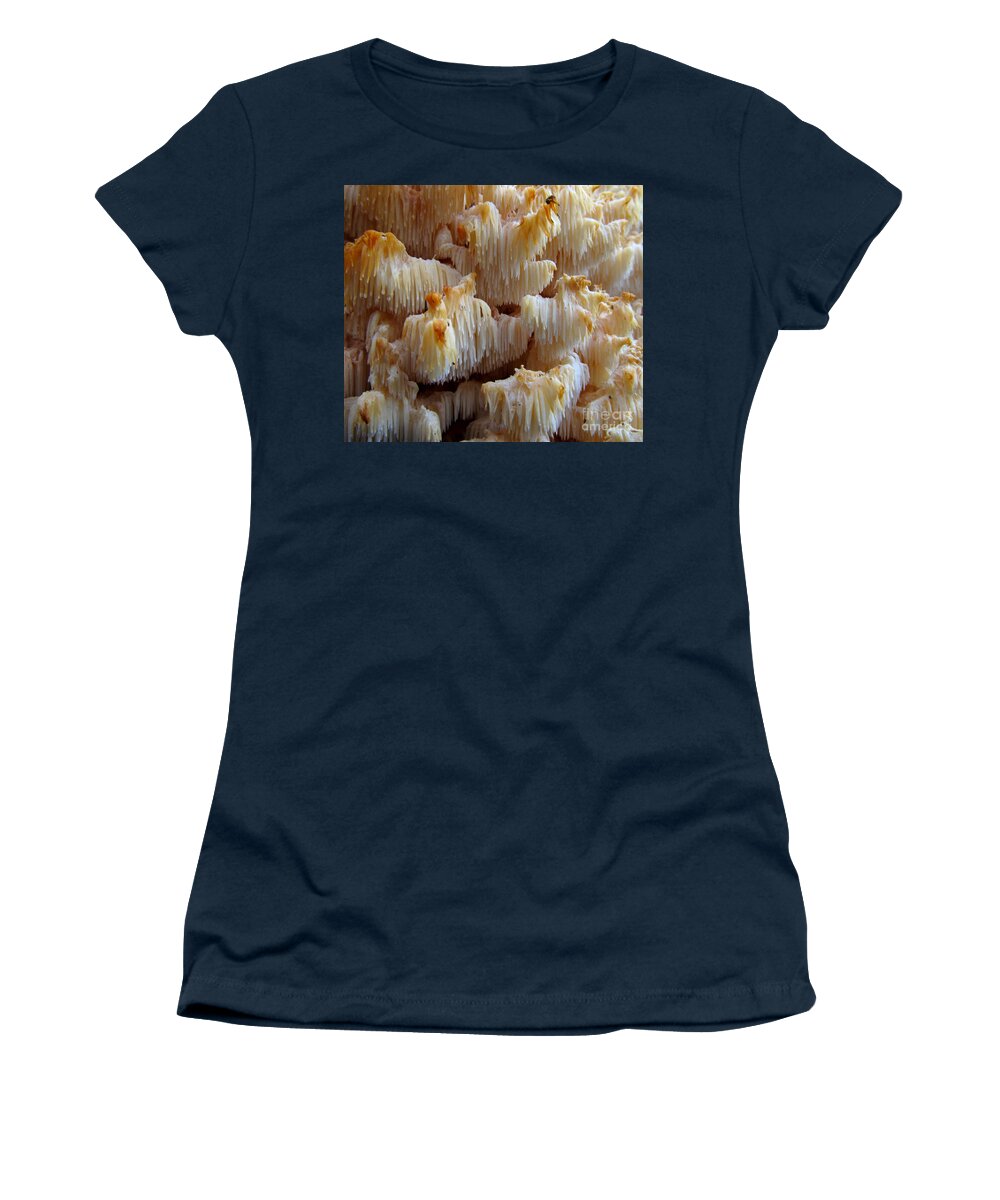 Lion's Mane Mushroom Women's T-Shirt featuring the photograph Lion's Mane Mushroom by Joshua Bales