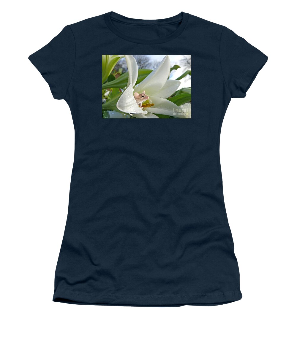 Field Mouse Women's T-Shirt featuring the pyrography Little Field Mouse by Morag Bates