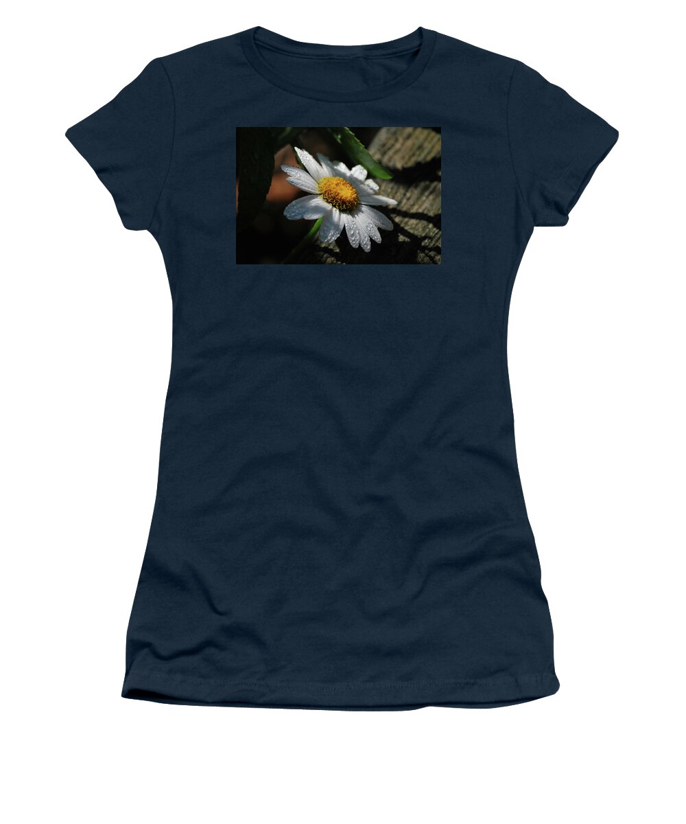 Daisy Women's T-Shirt featuring the photograph Lone Daisy by Lori Tambakis