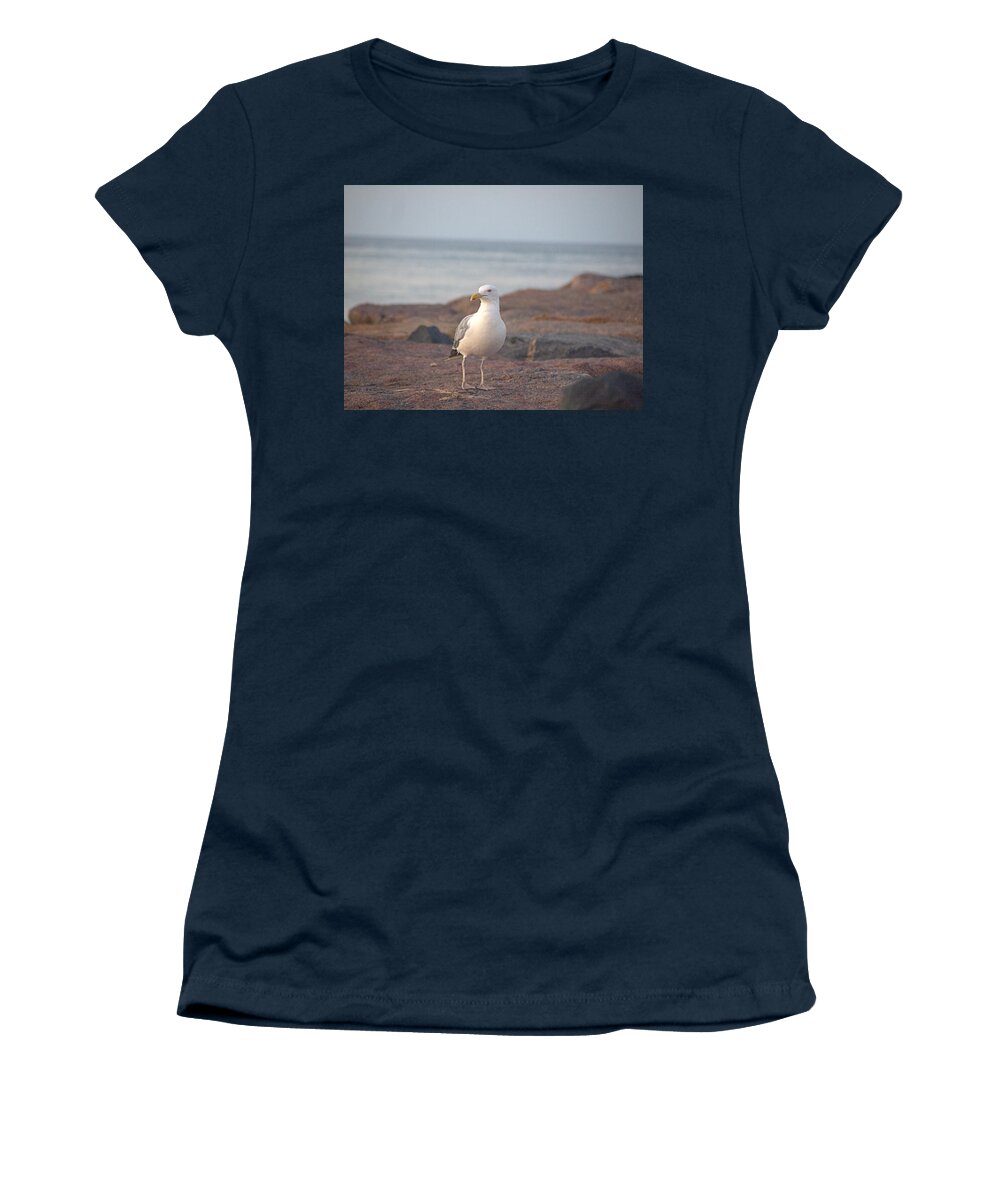 Seagull Women's T-Shirt featuring the photograph Lone Gull by Newwwman