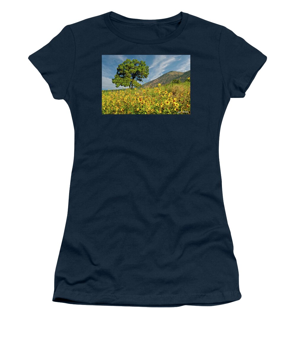 Arizona Women's T-Shirt featuring the photograph Lone Tree in a Sunflower Field by Jeff Goulden