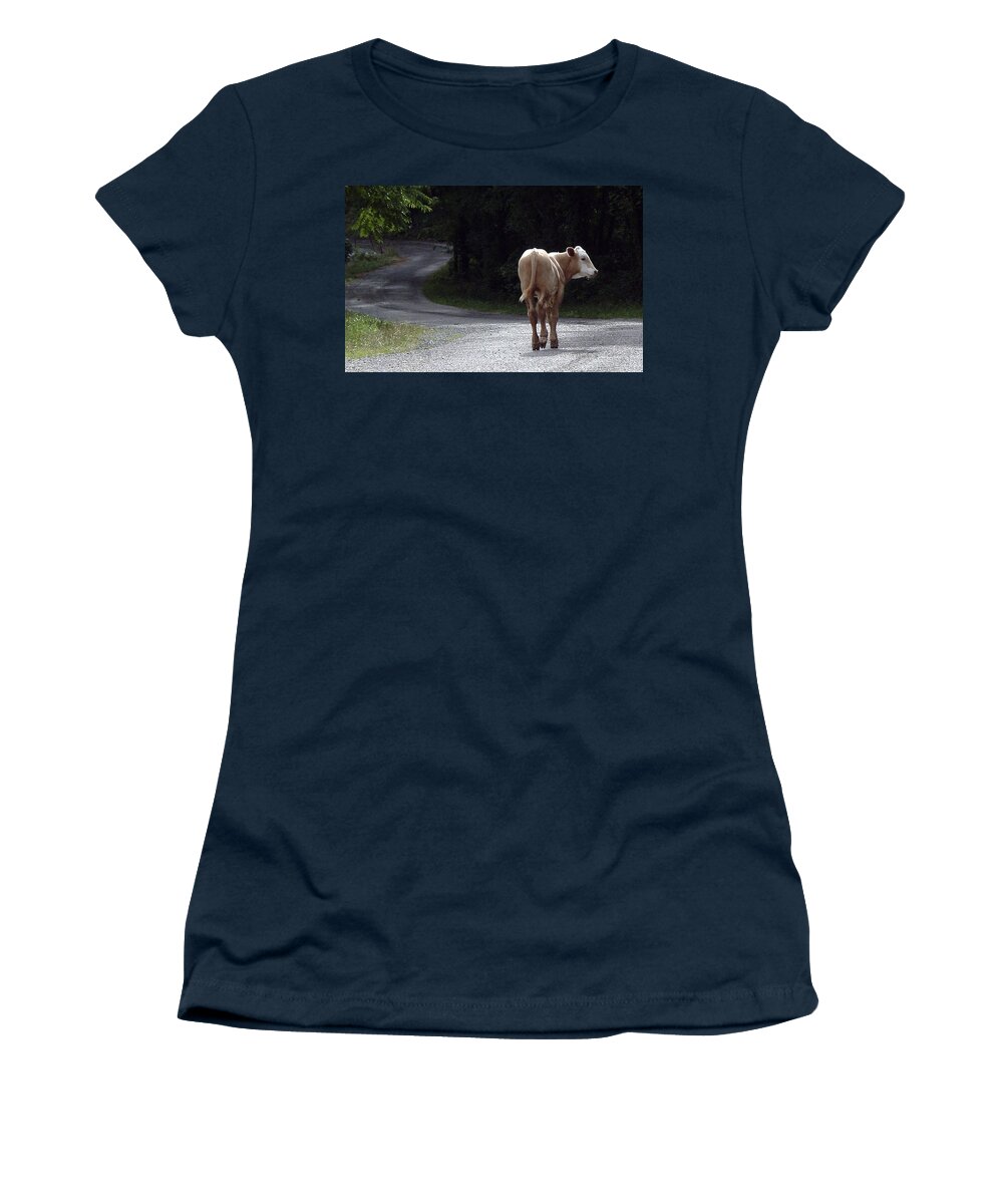 Cow Women's T-Shirt featuring the photograph Long and Winding Road by Belinda Landtroop