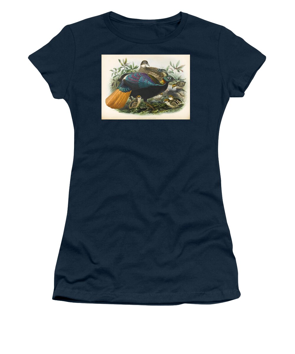 John Gerrard Keulemans Women's T-Shirt featuring the drawing Lophophorus impejanus by John Gerrard Keulemans