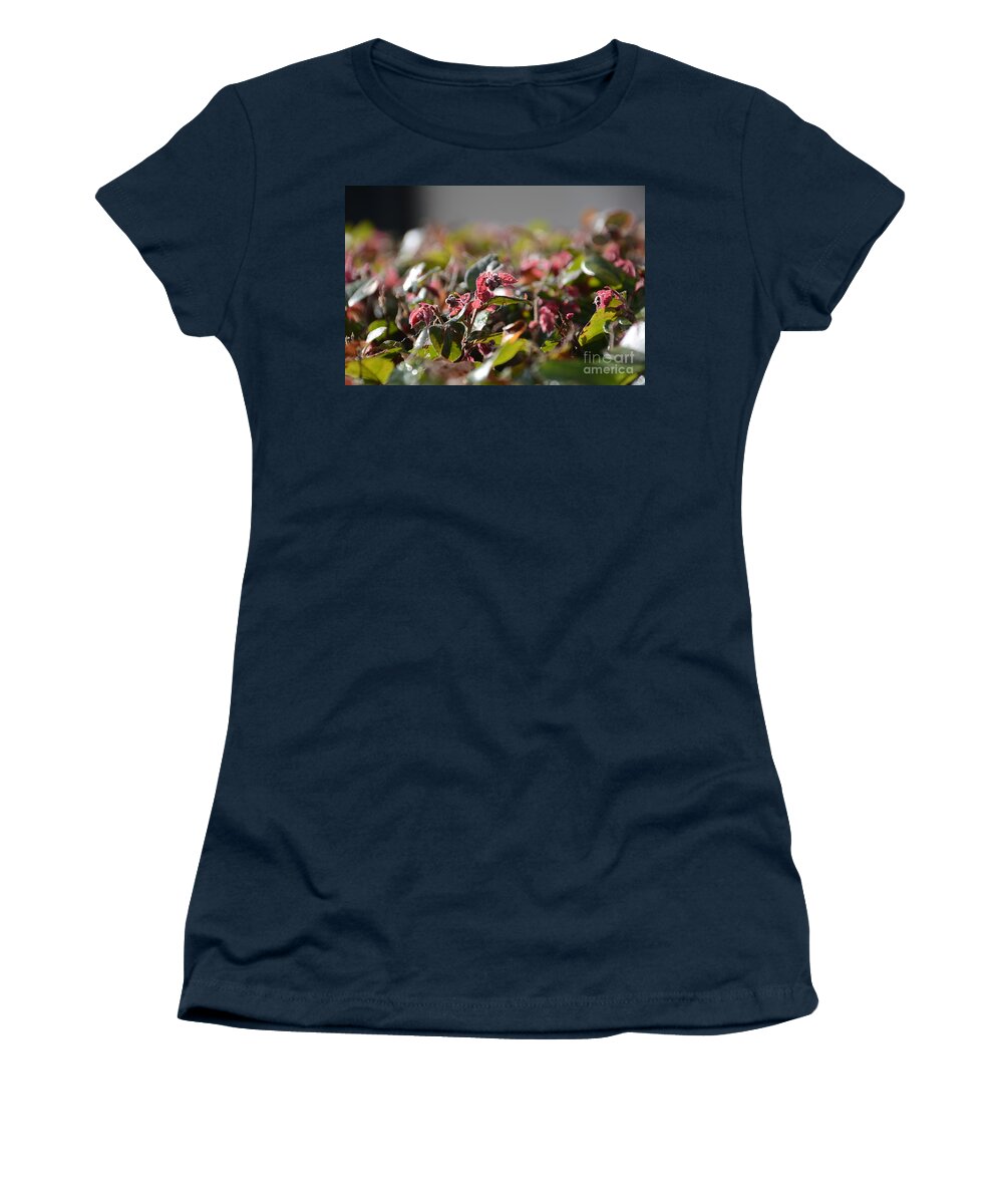 Adrian-deleon Women's T-Shirt featuring the photograph Loropetalum Shrubs -Georgia by Adrian De Leon Art and Photography