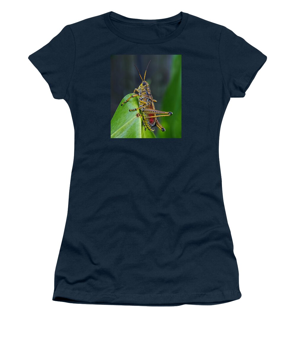 Lubber Grasshopper Women's T-Shirt featuring the photograph Lubber Grasshopper by Richard Rizzo