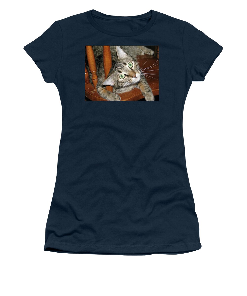 Tabby Women's T-Shirt featuring the photograph Luke 2 by Ali Baucom