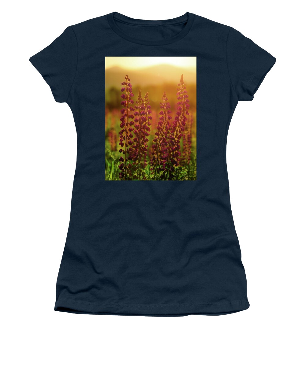 New Hampshire Women's T-Shirt featuring the photograph Lupines at Dawn by Rob Davies