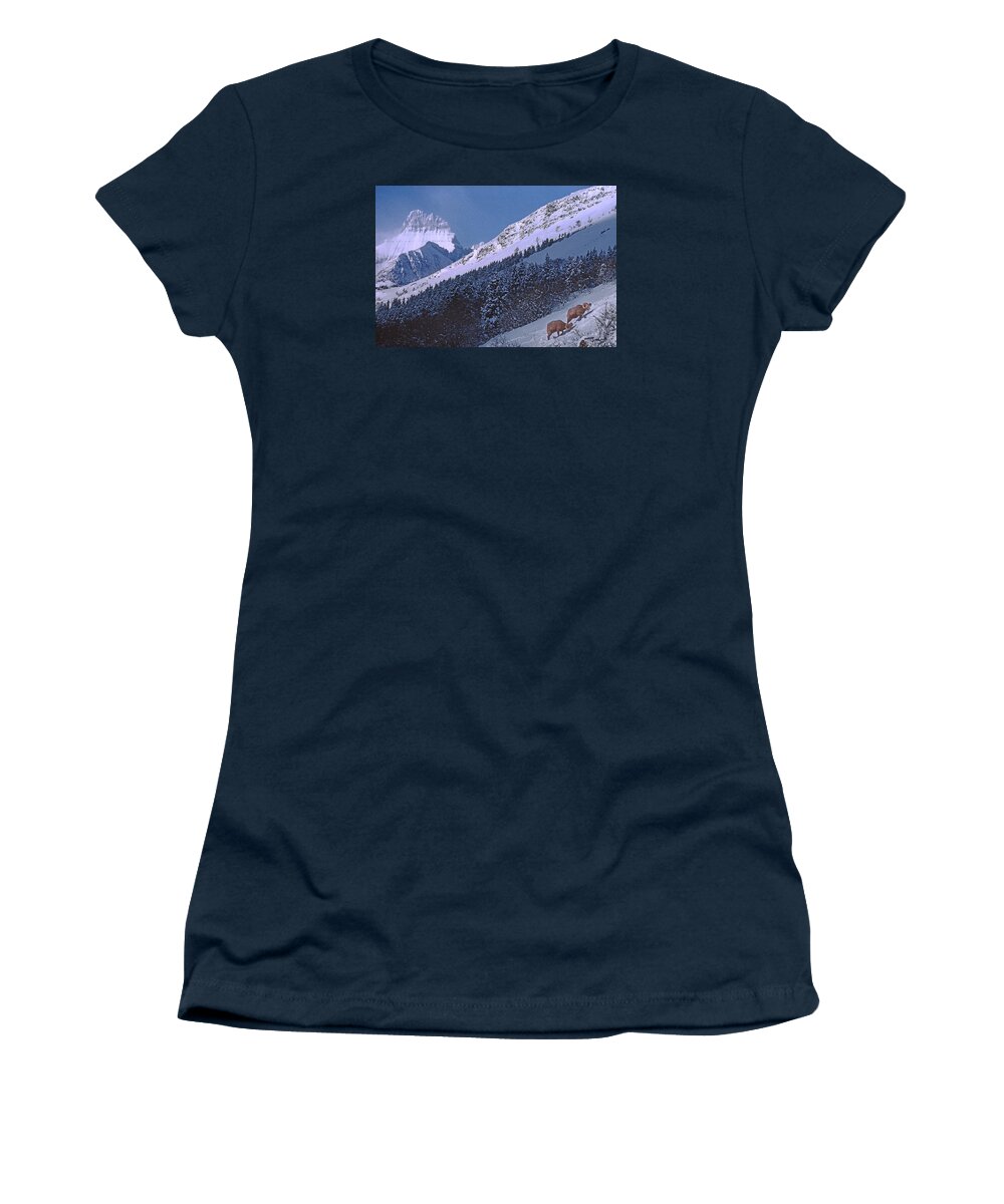 Bighorn Sheep Women's T-Shirt featuring the photograph M-08026-12 Bighorn Sheep in Glacier National Park by Ed Cooper Photography