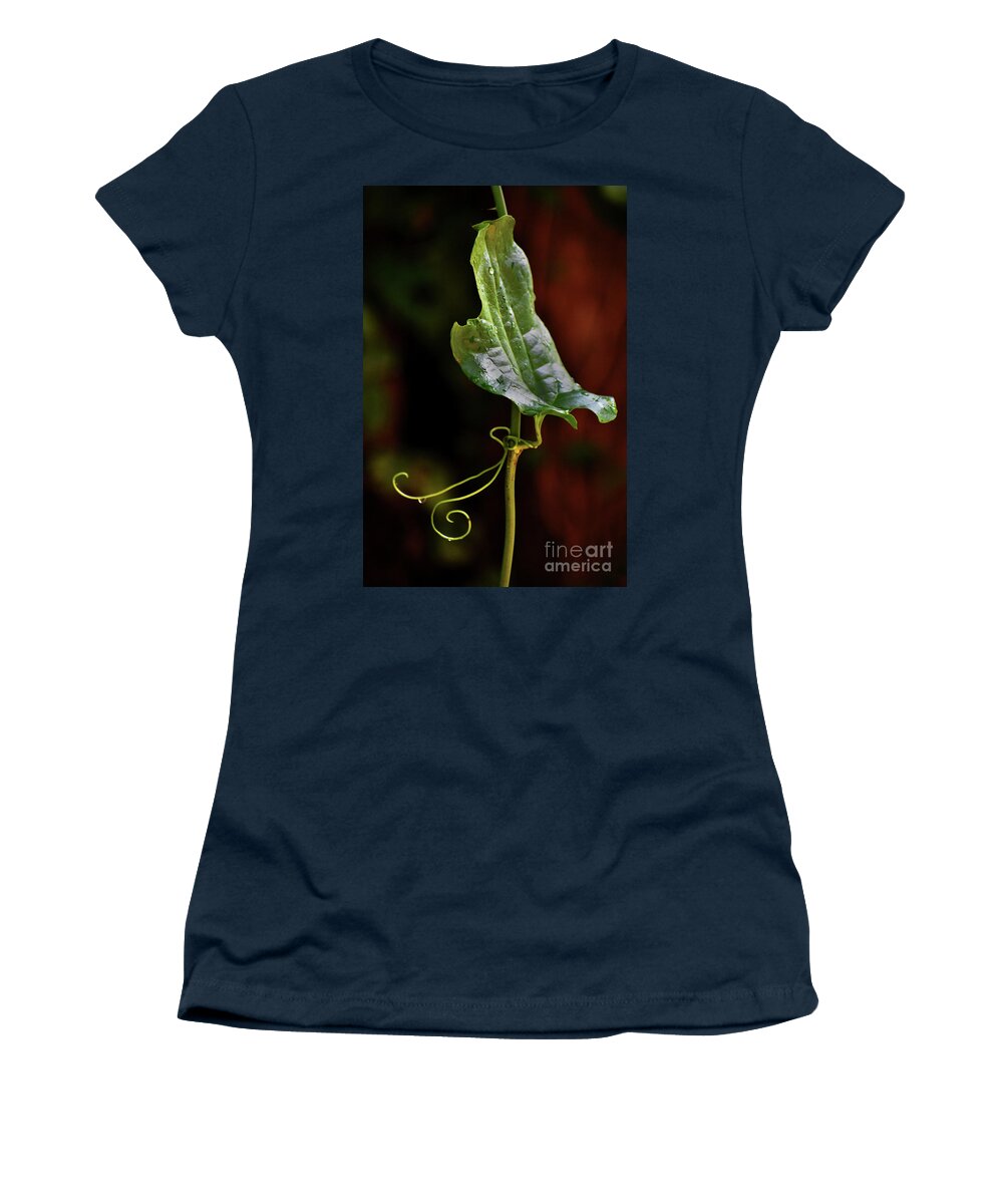 Intense Women's T-Shirt featuring the photograph Mahogany Music by Skip Willits
