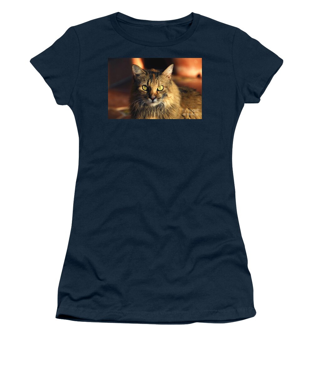 Main Coone Women's T-Shirt featuring the photograph Main coone by David Lee Thompson