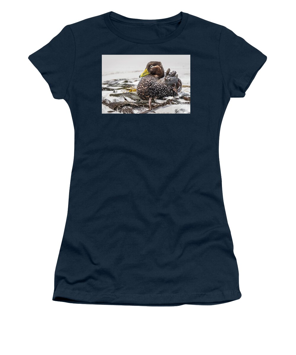 Steamer Women's T-Shirt featuring the photograph Male Falkland Steamer by Joann Long