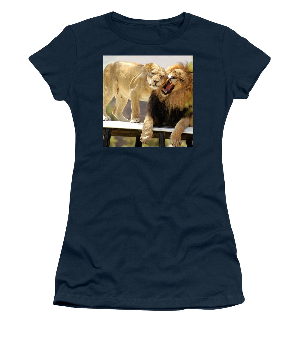 Lion Women's T-Shirt featuring the photograph Male Lion and his Lioness on their throne by Gunther Allen