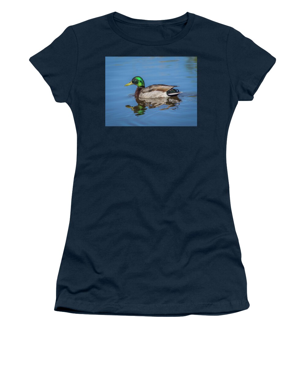 Mallard Women's T-Shirt featuring the photograph Male Mallard Duck in Water by Rick Mosher