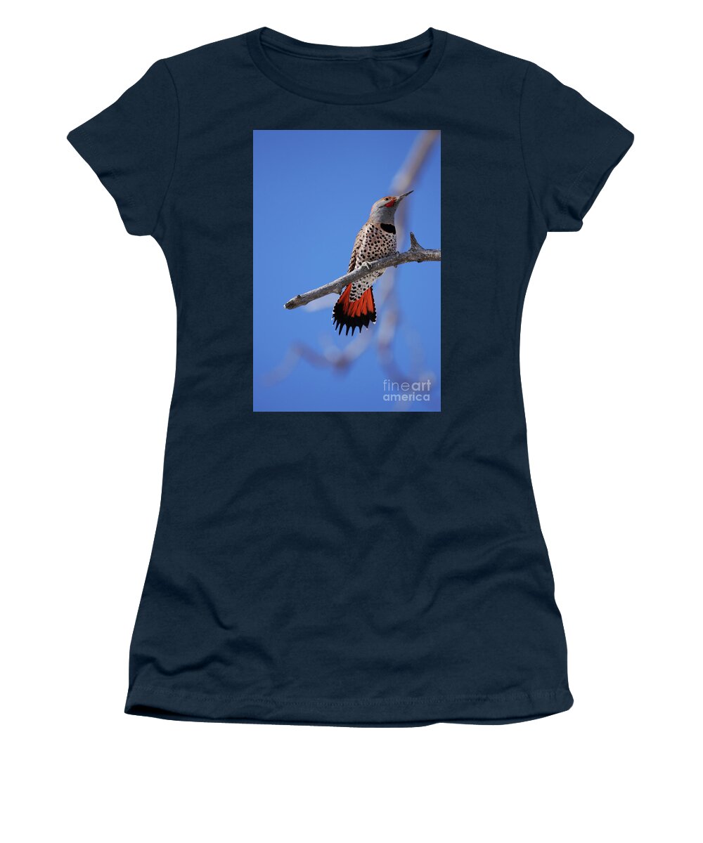 Male Red Shafted Northern Flicker Women's T-Shirt featuring the photograph Male Red Shafted Northern Flicker by Alyce Taylor
