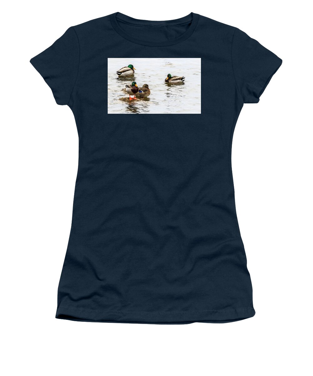 Mallard Ducks Women's T-Shirt featuring the photograph Mallards In The Shallows by Ray Congrove