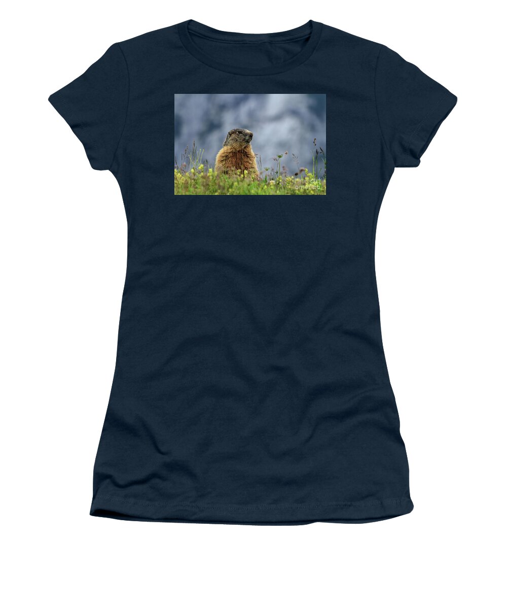 Marmot Women's T-Shirt featuring the photograph Marmot On Alpine Meadow by Antonio Scarpi