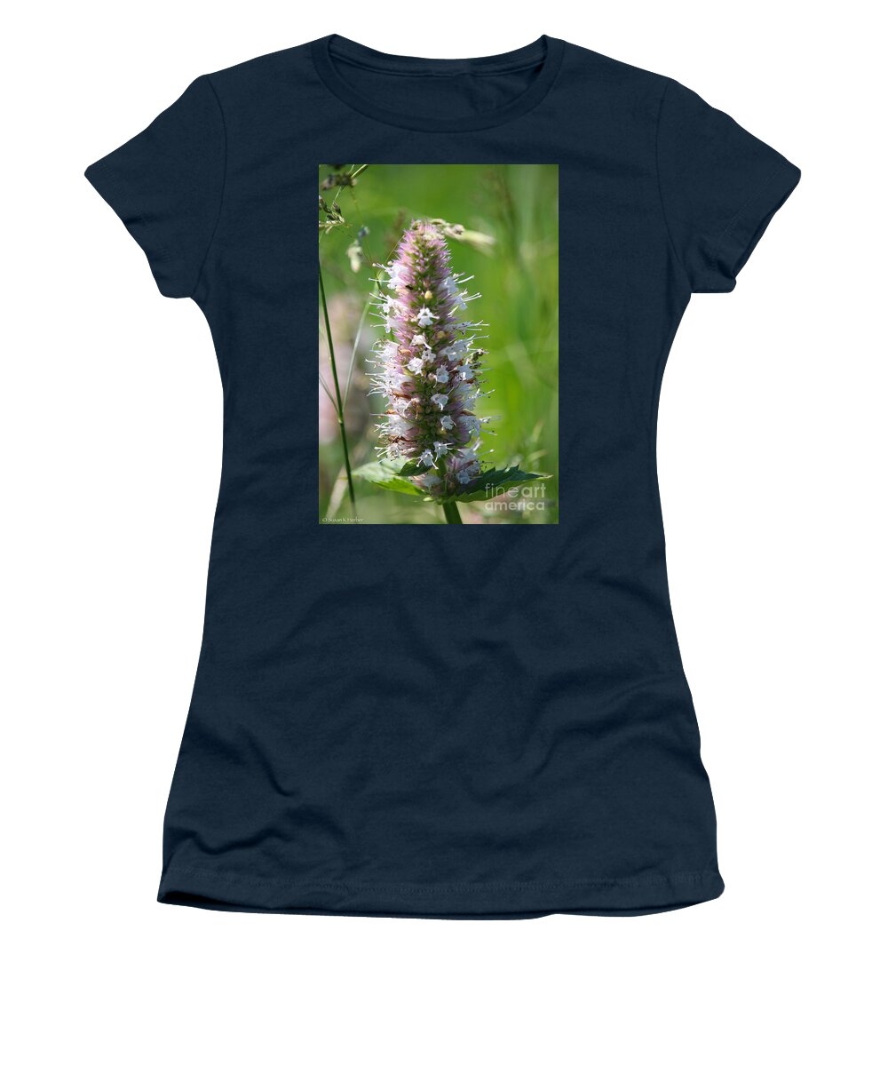 Gallatin Forest Women's T-Shirt featuring the photograph Meadow Marvels by Susan Herber