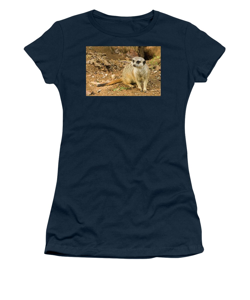 Zoo Women's T-Shirt featuring the photograph Meerkat by John Benedict