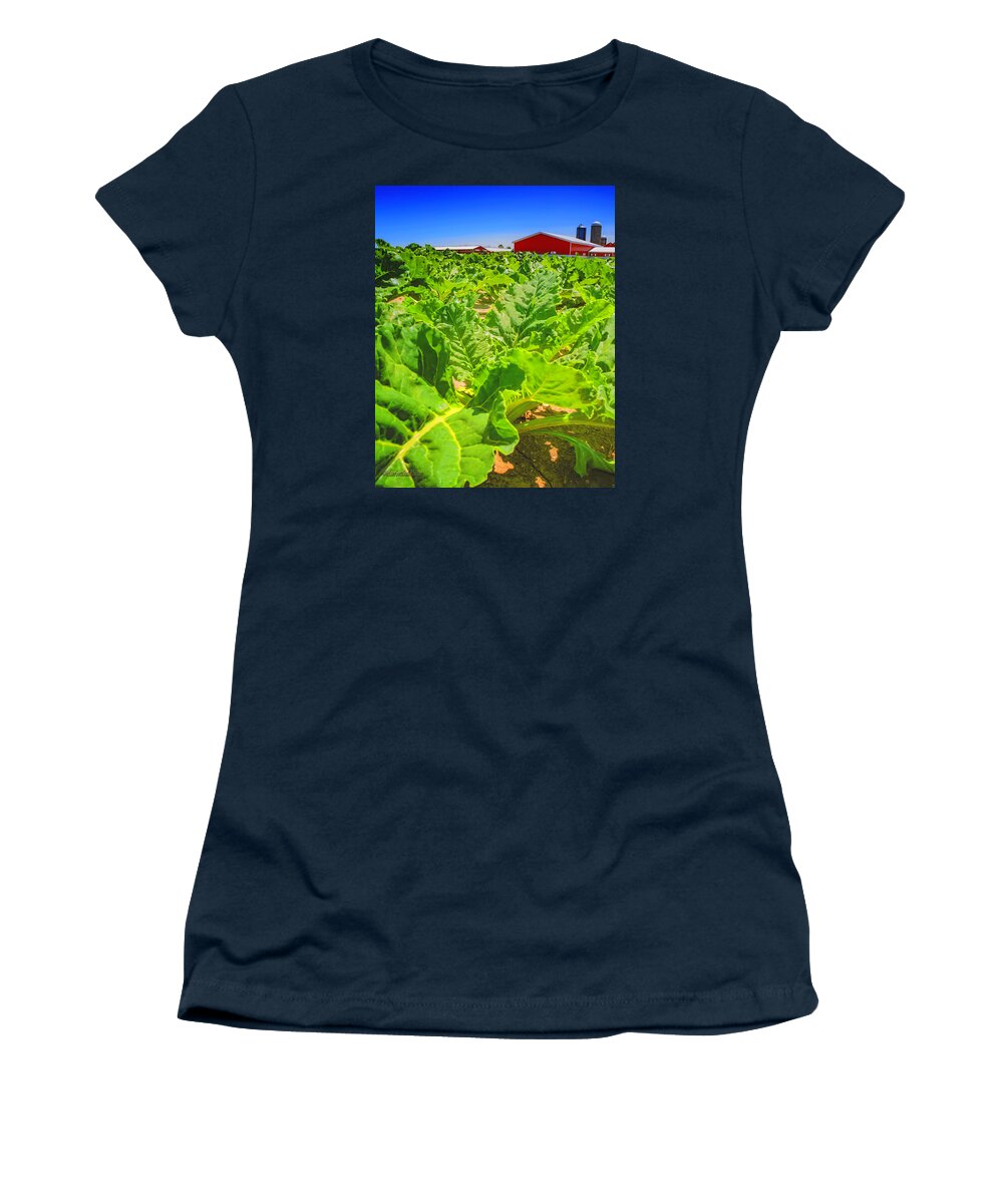 United_states Women's T-Shirt featuring the photograph Michigan Surgar Beet Farming by LeeAnn McLaneGoetz McLaneGoetzStudioLLCcom