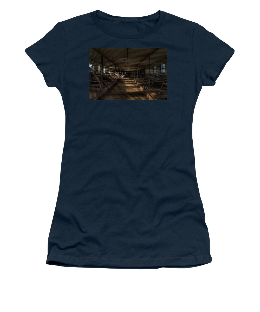 Animals Women's T-Shirt featuring the photograph Milk Cows in Radiant Light by Dennis Dame