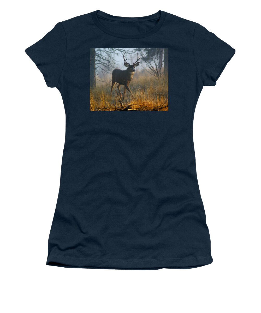 Deer Women's T-Shirt featuring the photograph Misty Morning Buck by Ben Upham III