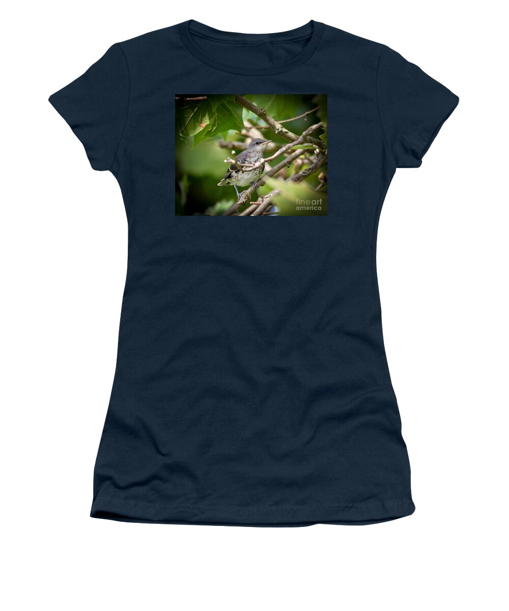 Mockingbird Women's T-Shirt featuring the photograph Mockingbird Youngster by Kerri Farley