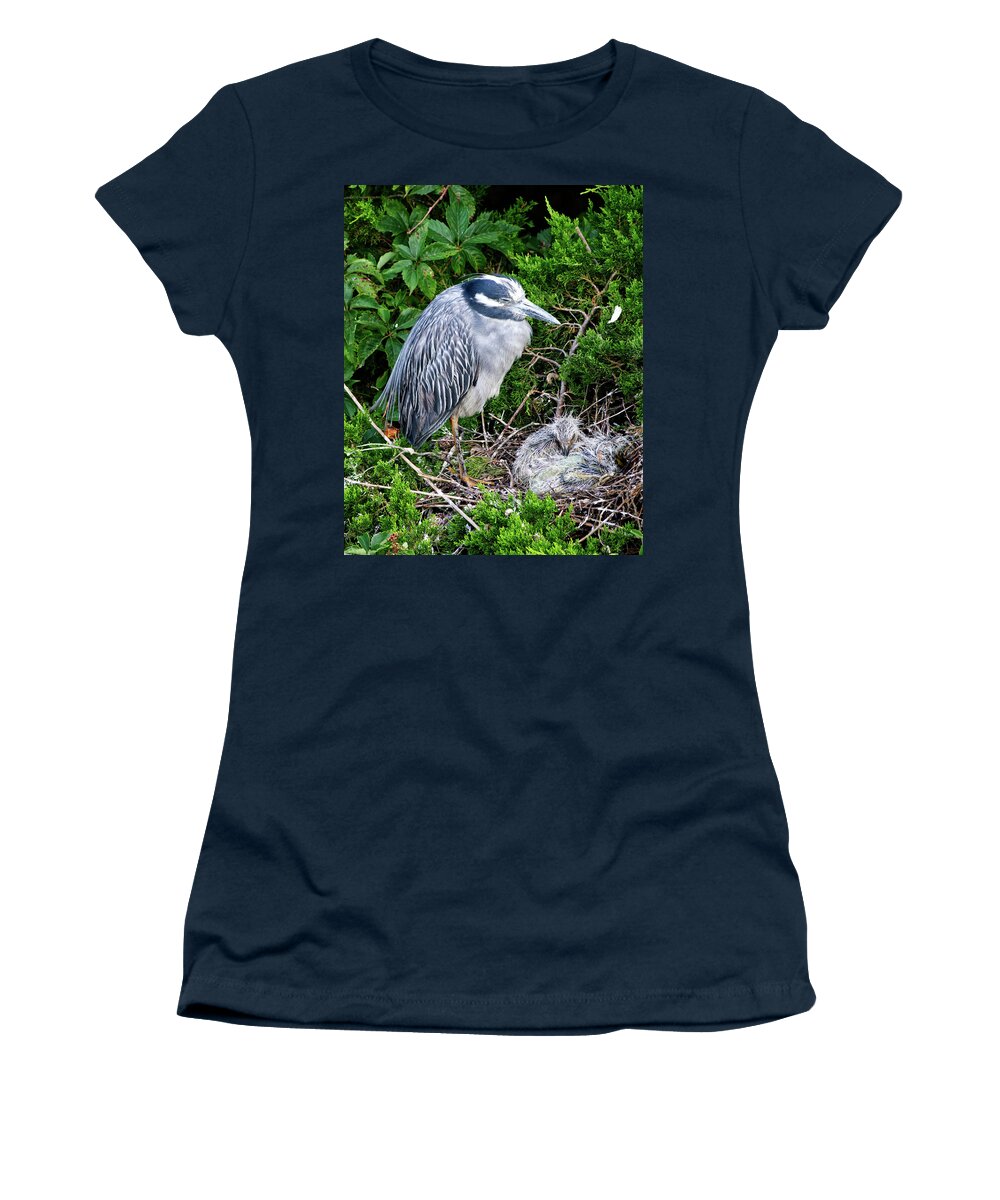 Birds Women's T-Shirt featuring the photograph Mommy and Baby by Paul Ross