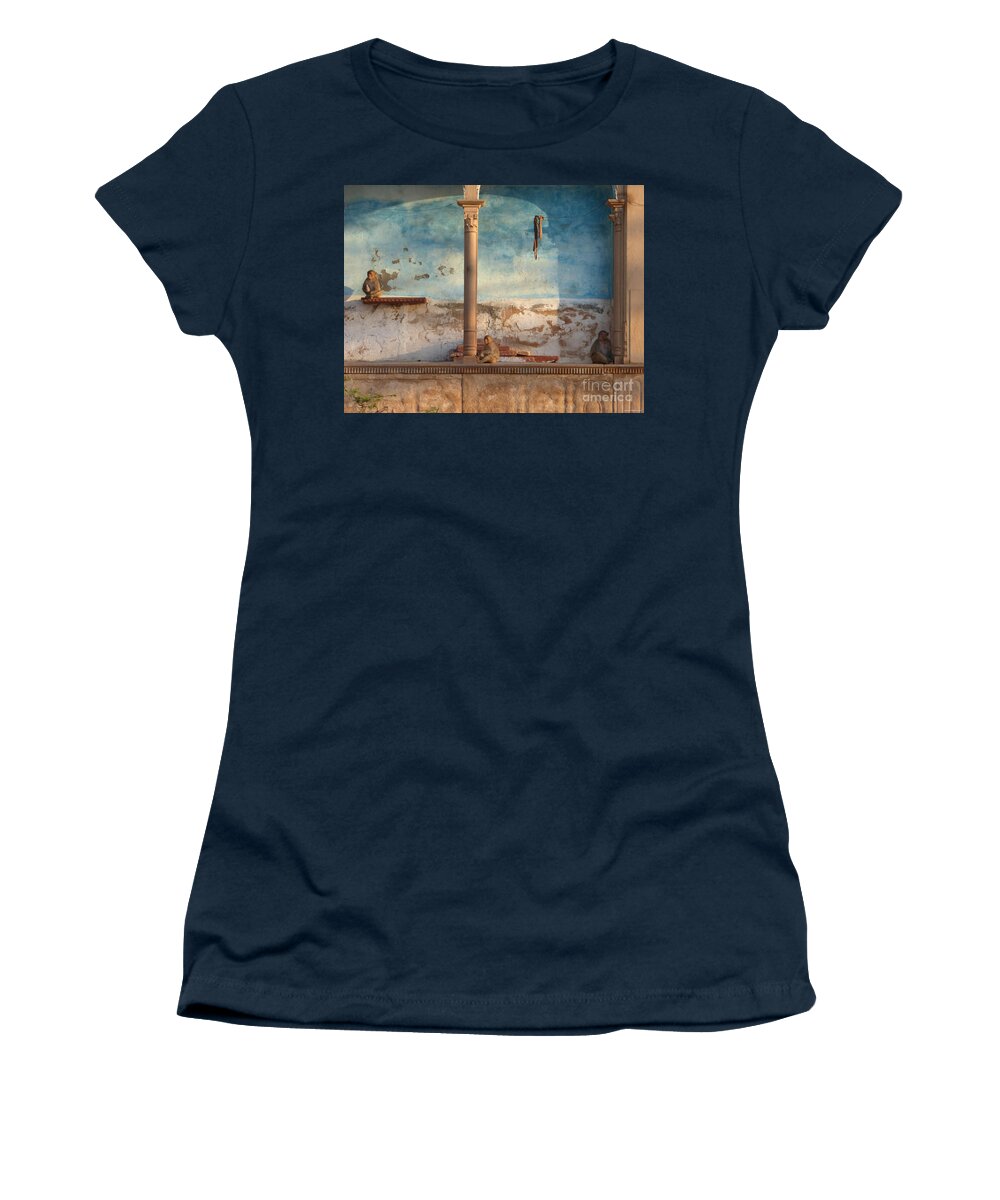Monkey Women's T-Shirt featuring the photograph Monkeys at sunset by Jean luc Comperat