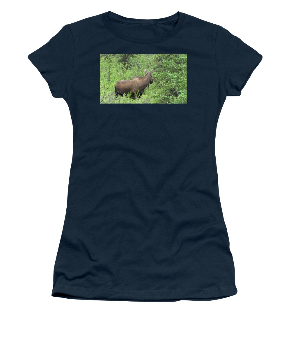 Wildlife Women's T-Shirt featuring the photograph Moose by Gary Gunderson