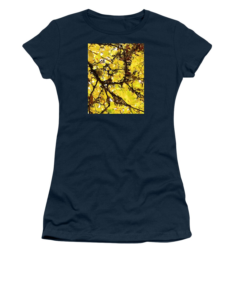 Abstract Women's T-Shirt featuring the photograph Mossy Gold by Michael Ramsey