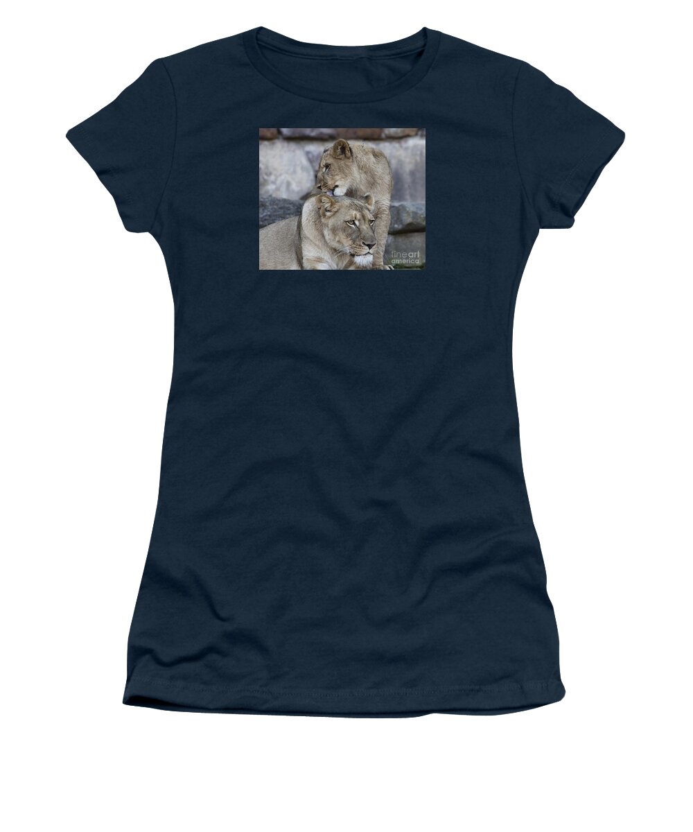  Lion Women's T-Shirt featuring the photograph Mother and Child V10 by Douglas Barnard