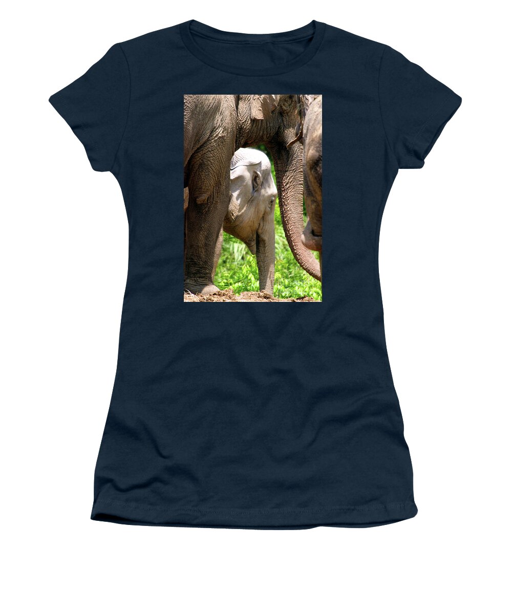 Nature Women's T-Shirt featuring the photograph Mothers Love by Alan Look